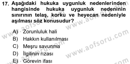 Ceza Hukuku Dersi Ara Sınavı Deneme Sınav Soruları 17. Soru