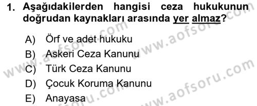 Ceza Hukuku Dersi Ara Sınavı Deneme Sınav Soruları 1. Soru