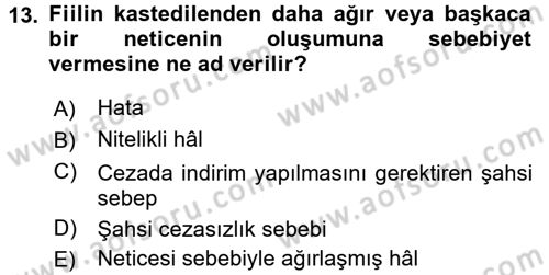 Ceza Hukuku Dersi 2017 - 2018 Yılı (Vize) Ara Sınav Soruları 13. Soru