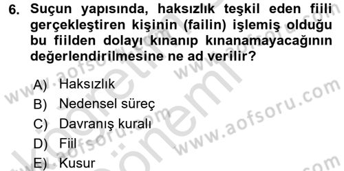 Ceza Hukuku Dersi 2017 - 2018 Yılı (Vize) Ara Sınav Soruları 6. Soru