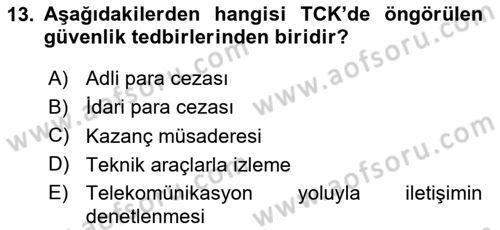 Ceza Hukuku Dersi 2018 - 2019 Yılı 3 Ders Sınav Soruları 13. Soru