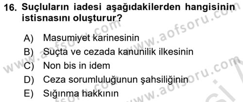 Ceza Hukuku Dersi 2018 - 2019 Yılı 3 Ders Sınav Soruları 16. Soru
