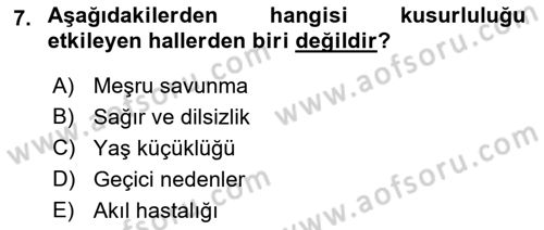 Ceza Hukuku Dersi 2018 - 2019 Yılı 3 Ders Sınav Soruları 7. Soru
