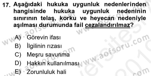 Ceza Hukuku Dersi 2018 - 2019 Yılı (Vize) Ara Sınav Soruları 17. Soru