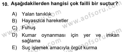 Ceza Hukuku Dersi 2018 - 2019 Yılı (Final) Dönem Sonu Sınav Soruları 10. Soru