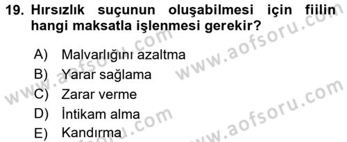 Ceza Hukuku Dersi 2018 - 2019 Yılı (Final) Dönem Sonu Sınav Soruları 19. Soru