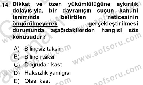 Ceza Hukuku Dersi 2019 - 2020 Yılı (Vize) Ara Sınav Soruları 14. Soru