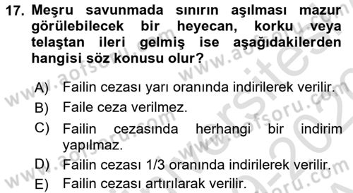 Ceza Hukuku Dersi 2019 - 2020 Yılı (Vize) Ara Sınav Soruları 17. Soru