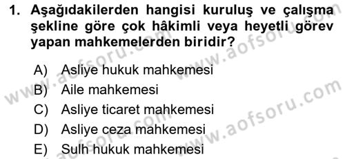 Yargı Örgütü Ve Tebligat Hukuku Dersi 2024 - 2025 Yılı Yaz Okulu Sınav Soruları 1. Soru