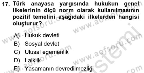 Anayasa Hukuku Dersi 2018 - 2019 Yılı 3 Ders Sınav Soruları 17. Soru