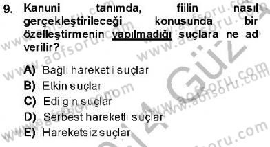 Ceza Hukukuna Giriş Dersi 2013 - 2014 Yılı (Vize) Ara Sınav Soruları 9. Soru