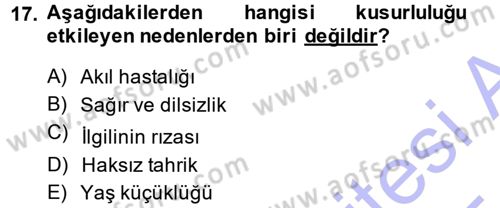 Ceza Hukukuna Giriş Dersi 2014 - 2015 Yılı (Vize) Ara Sınav Soruları 17. Soru