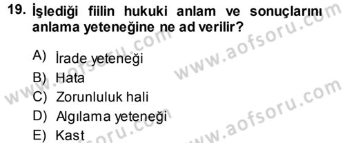 Ceza Hukukuna Giriş Dersi 2014 - 2015 Yılı (Vize) Ara Sınav Soruları 19. Soru