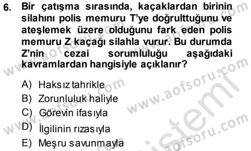 Ceza Hukukuna Giriş Dersi 2014 - 2015 Yılı Tek Ders Sınav Soruları 6. Soru