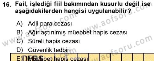 Ceza Hukukuna Giriş Dersi 2015 - 2016 Yılı (Vize) Ara Sınav Soruları 16. Soru