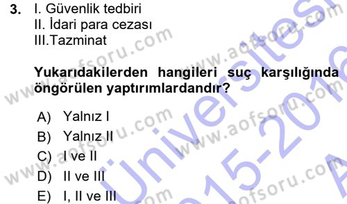 Ceza Hukukuna Giriş Dersi 2015 - 2016 Yılı (Vize) Ara Sınav Soruları 3. Soru