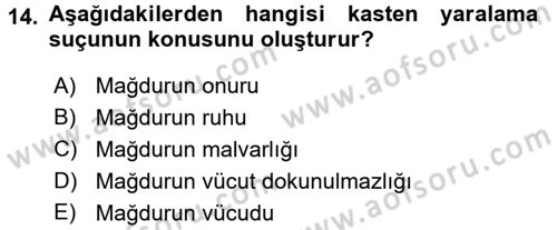 Ceza Hukukuna Giriş Dersi 2015 - 2016 Yılı Tek Ders Sınav Soruları 14. Soru