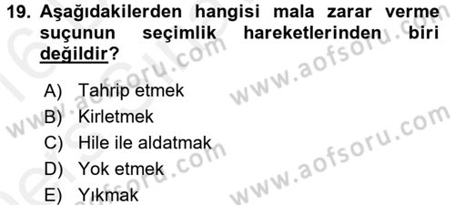 Ceza Hukukuna Giriş Dersi 2015 - 2016 Yılı Tek Ders Sınav Soruları 19. Soru