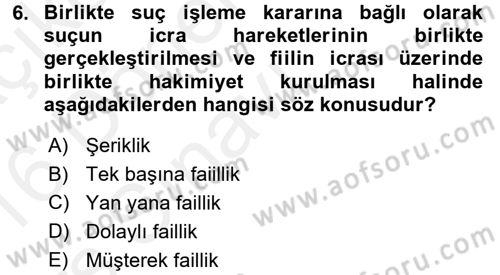 Ceza Hukukuna Giriş Dersi 2015 - 2016 Yılı Tek Ders Sınav Soruları 6. Soru
