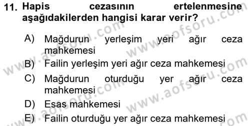 Ceza Hukukuna Giriş Dersi 2016 - 2017 Yılı 3 Ders Sınav Soruları 11. Soru
