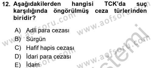 Ceza Hukukuna Giriş Dersi 2016 - 2017 Yılı 3 Ders Sınav Soruları 12. Soru