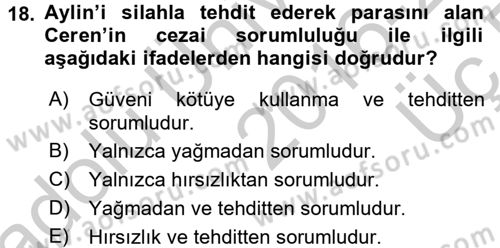 Ceza Hukukuna Giriş Dersi 2016 - 2017 Yılı 3 Ders Sınav Soruları 18. Soru