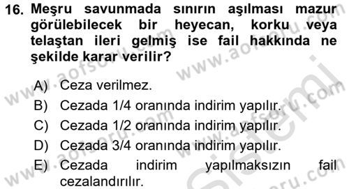 Ceza Hukukuna Giriş Dersi 2016 - 2017 Yılı (Vize) Ara Sınav Soruları 16. Soru