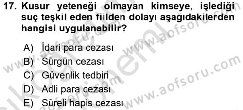 Ceza Hukukuna Giriş Dersi Ara Sınavı Deneme Sınav Soruları 17. Soru