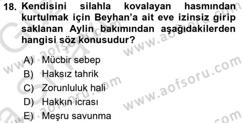 Ceza Hukukuna Giriş Dersi 2016 - 2017 Yılı (Vize) Ara Sınav Soruları 18. Soru