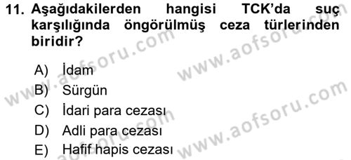 Ceza Hukukuna Giriş Dersi 2017 - 2018 Yılı 3 Ders Sınav Soruları 11. Soru