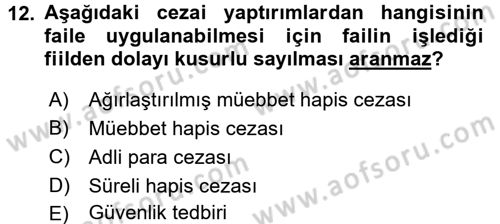 Ceza Hukukuna Giriş Dersi 2017 - 2018 Yılı 3 Ders Sınav Soruları 12. Soru