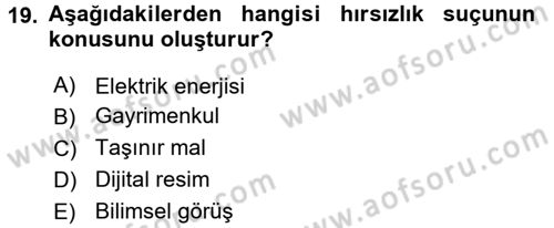 Ceza Hukukuna Giriş Dersi 2017 - 2018 Yılı 3 Ders Sınav Soruları 19. Soru