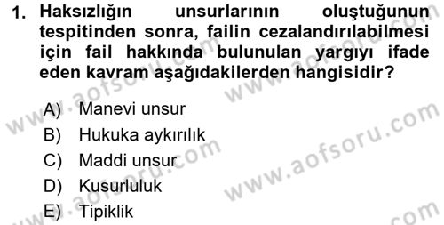 Ceza Hukukuna Giriş Dersi 2017 - 2018 Yılı (Vize) Ara Sınav Soruları 1. Soru