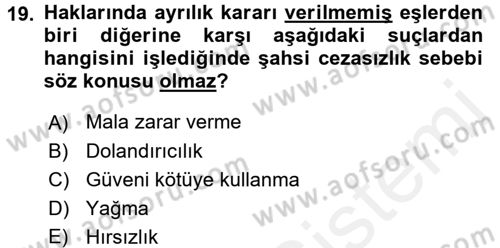 Ceza Hukukuna Giriş Dersi 2017 - 2018 Yılı (Final) Dönem Sonu Sınavı 19. Soru