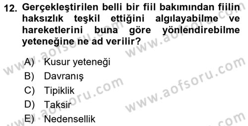 Ceza Hukukuna Giriş Dersi 2020 - 2021 Yılı Yaz Okulu Sınav Soruları 12. Soru