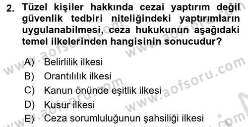 Ceza Hukukuna Giriş Dersi 2020 - 2021 Yılı Yaz Okulu Sınav Soruları 2. Soru