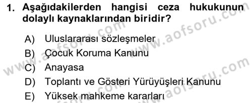 Ceza Hukukuna Giriş Dersi 2021 - 2022 Yılı (Final) Dönem Sonu Sınav Soruları 1. Soru
