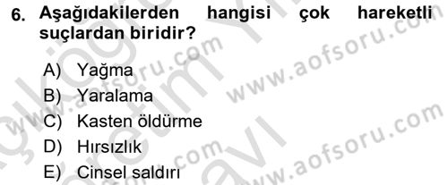 Ceza Hukukuna Giriş Dersi 2021 - 2022 Yılı Yaz Okulu Sınav Soruları 6. Soru