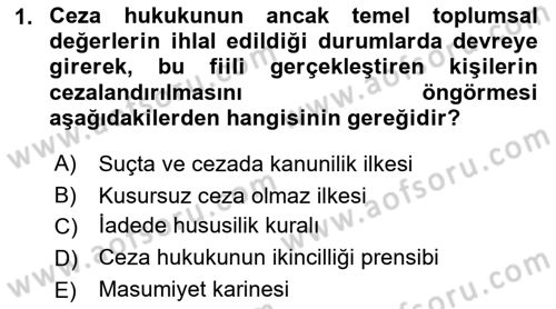 Ceza Hukukuna Giriş Dersi 2022 - 2023 Yılı (Final) Dönem Sonu Sınav Soruları 1. Soru