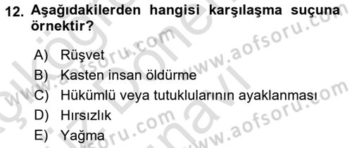 Ceza Hukukuna Giriş Dersi 2022 - 2023 Yılı (Final) Dönem Sonu Sınav Soruları 12. Soru