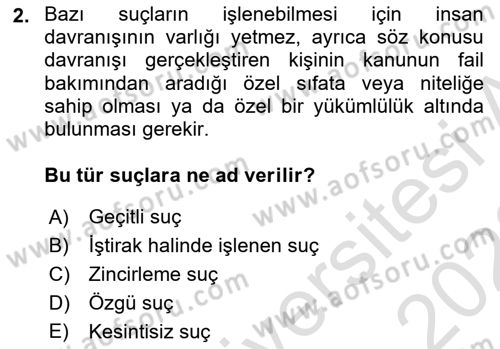 Ceza Hukukuna Giriş Dersi 2022 - 2023 Yılı (Final) Dönem Sonu Sınav Soruları 2. Soru