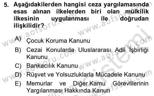 Ceza Yargılama Hukuku Dersi 2021 - 2022 Yılı (Vize) Ara Sınav Soruları 5. Soru