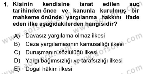 Ceza Yargılama Hukuku Dersi 2021 - 2022 Yılı Yaz Okulu Sınavı 1. Soru