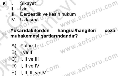 Ceza Yargılama Hukuku Dersi 2023 - 2024 Yılı Yaz Okulu Sınav Soruları 6. Soru