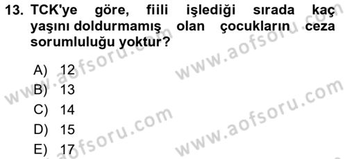 Ceza Yargılama Hukuku Dersi 2024 - 2025 Yılı (Vize) Ara Sınav Soruları 13. Soru
