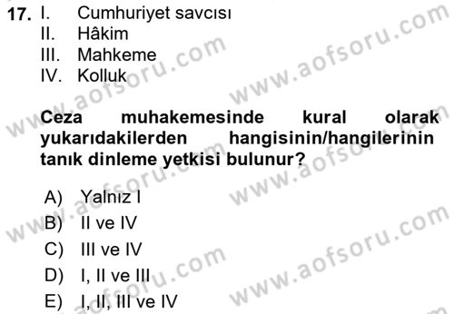 Ceza Yargılama Hukuku Dersi 2024 - 2025 Yılı (Vize) Ara Sınav Soruları 17. Soru