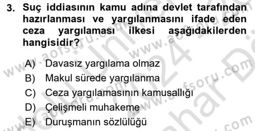 Ceza Yargılama Hukuku Dersi 2024 - 2025 Yılı (Vize) Ara Sınav Soruları 3. Soru