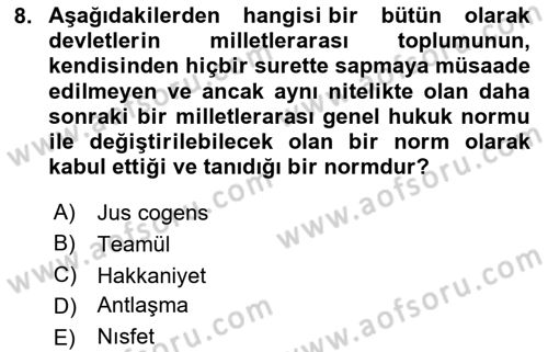 Uluslararası Hukuk 1 Dersi 2024 - 2025 Yılı (Vize) Ara Sınav Soruları 8. Soru