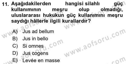 Uluslararası Hukuk 2 Dersi 2023 - 2024 Yılı Yaz Okulu Sınav Soruları 11. Soru