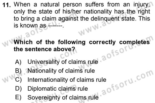 Public International Law 1 Dersi 2024 - 2025 Yılı Yaz Okulu Sınav Soruları 11. Soru